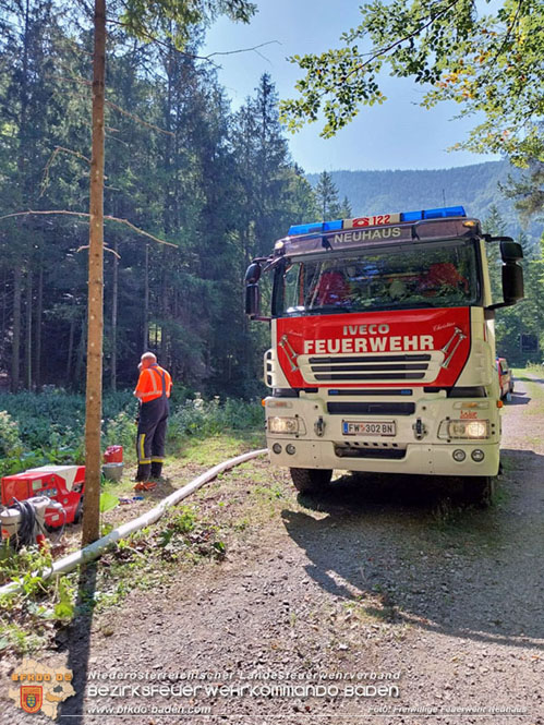 20240903_Waldbrand im Enzersgraben  bei Furth a.d.Triesting durch Blitzschlag ausgelöst     Foto: Freiwillige Feuerwehr Neuhaus
