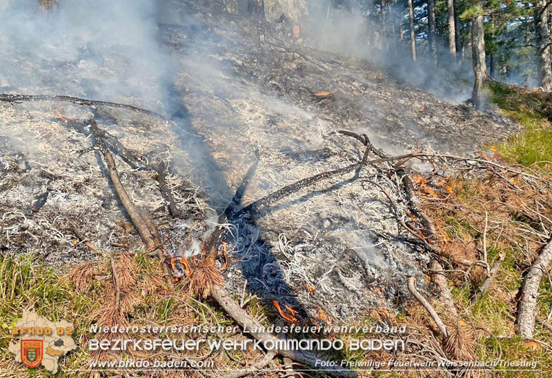 20240903_Waldbrand im Enzersgraben  bei Furth a.d.Triesting durch Blitzschlag ausgelöst     Foto: Freiwillige Feuerwehr Weissenbach/Triesting