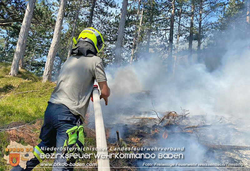 20240903_Waldbrand im Enzersgraben  bei Furth a.d.Triesting durch Blitzschlag ausgelöst     Foto: Freiwillige Feuerwehr Weissenbach/Triesting
