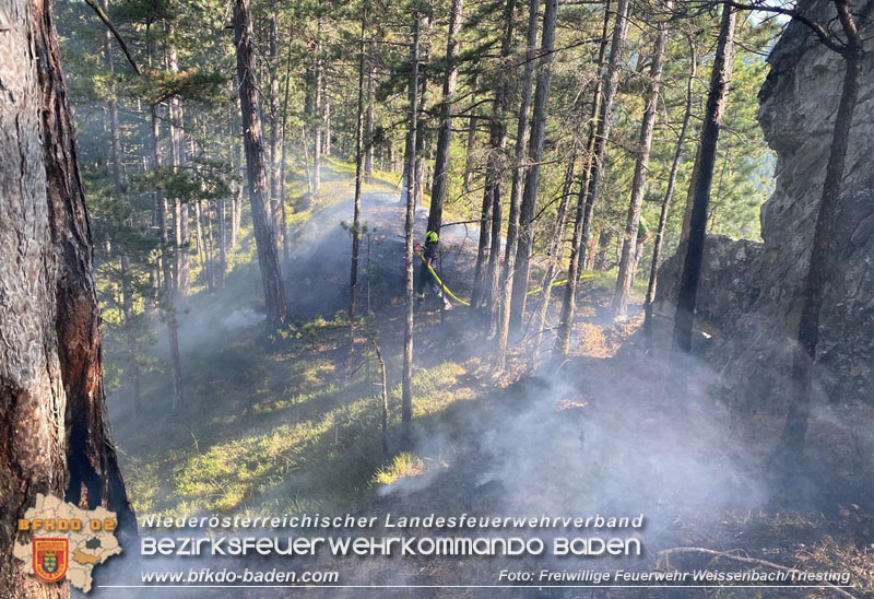 20240903_Waldbrand im Enzersgraben  bei Furth a.d.Triesting durch Blitzschlag ausgelöst     Foto: Freiwillige Feuerwehr Weissenbach/Triesting