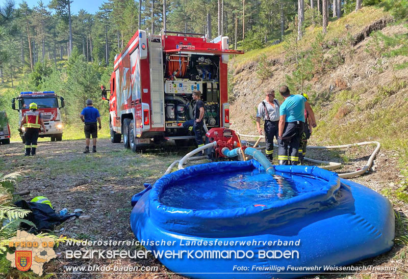 20240903_Waldbrand im Enzersgraben  bei Furth a.d.Triesting durch Blitzschlag ausgelöst     Foto: Freiwillige Feuerwehr Weissenbach/Triesting