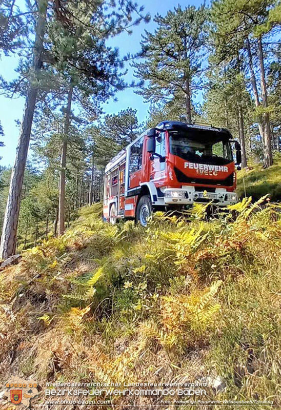 20240903_Waldbrand im Enzersgraben  bei Furth a.d.Triesting durch Blitzschlag ausgelöst     Foto: Freiwillige Feuerwehr Weissenbach/Triesting