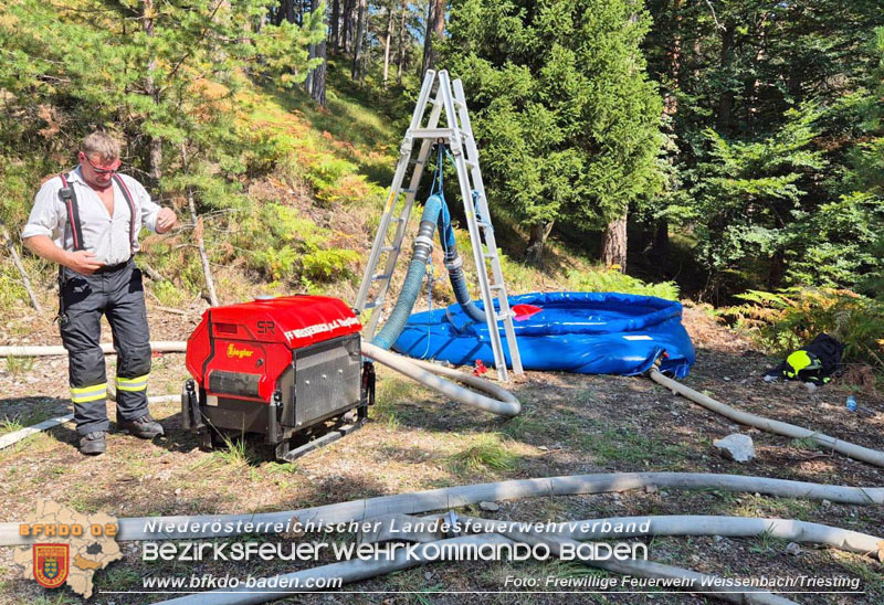 20240903_Waldbrand im Enzersgraben  bei Furth a.d.Triesting durch Blitzschlag ausgelöst     Foto: Freiwillige Feuerwehr Weissenbach/Triesting