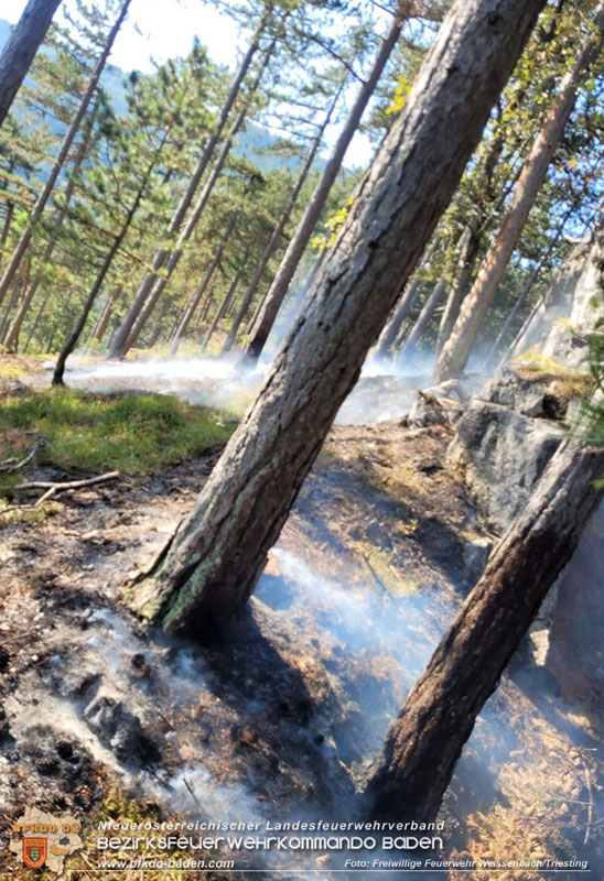 20240903_Waldbrand im Enzersgraben  bei Furth a.d.Triesting durch Blitzschlag ausgelöst     Foto: Freiwillige Feuerwehr Weissenbach/Triesting