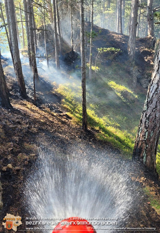 20240903_Waldbrand im Enzersgraben  bei Furth a.d.Triesting durch Blitzschlag ausgelöst     Foto: Freiwillige Feuerwehr Weissenbach/Triesting