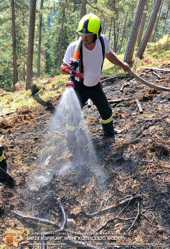 20240903_Waldbrand im Enzersgraben  bei Furth a.d.Triesting durch Blitzschlag ausgelöst     Foto: Freiwillige Feuerwehr Weissenbach/Triesting