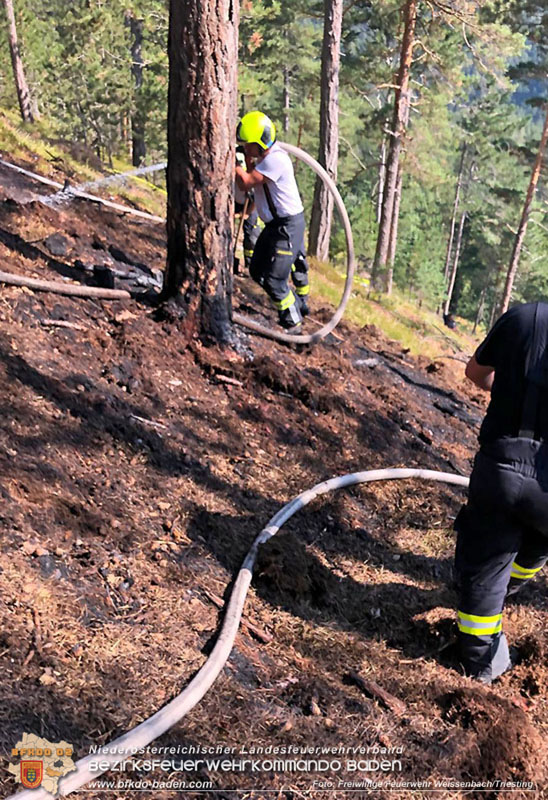 20240903_Waldbrand im Enzersgraben  bei Furth a.d.Triesting durch Blitzschlag ausgelöst     Foto: Freiwillige Feuerwehr Weissenbach/Triesting