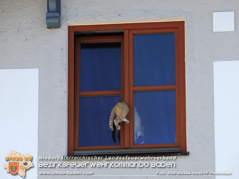 20240907_Katze steckte im Fenster fest Foto: ASB Markus Hackl Freiwillige Feuerwehr Potteinstein 20240907_Katze steckte im Fenster fest Foto: ASB Markus Hackl Freiwillige Feuerwehr Potteinstein