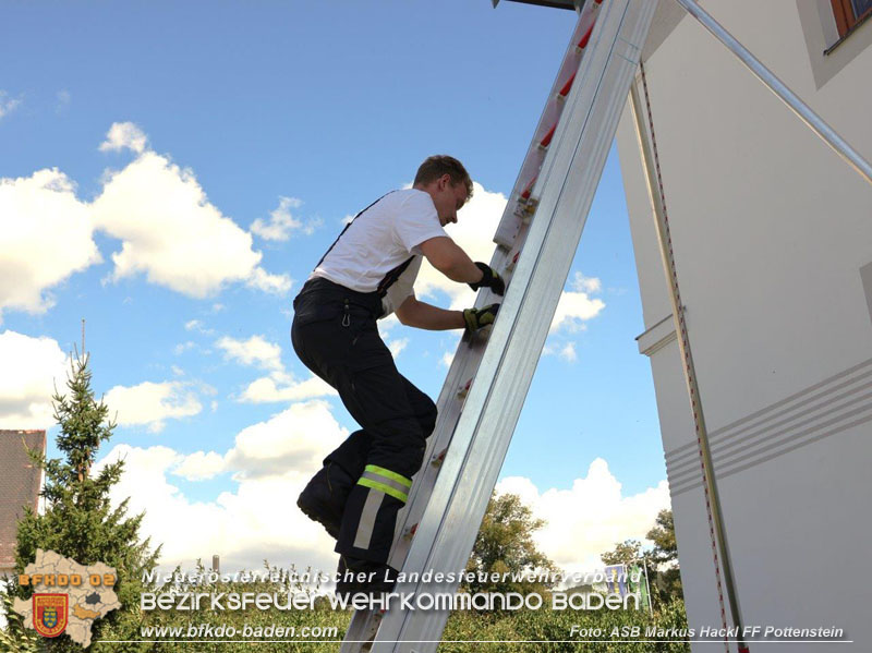 20240907_Katze steckte im Fenster fest Foto: ASB Markus Hackl Freiwillige Feuerwehr Potteinstein 20240907_Katze steckte im Fenster fest Foto: ASB Markus Hackl Freiwillige Feuerwehr Potteinstein