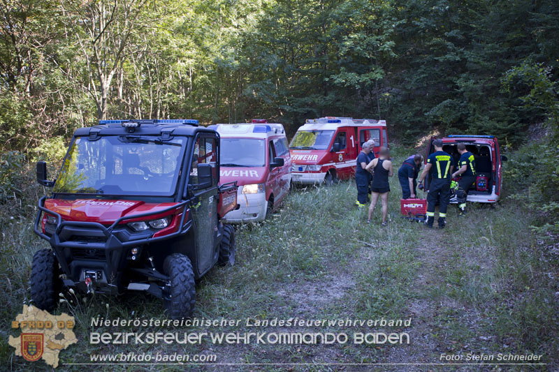 20240907_Spotty nach über 50 Stunden durch Feuerwehr aus Felshöhle in Baden gerettet Foto: Stefan Schneider BFKDO BADEN