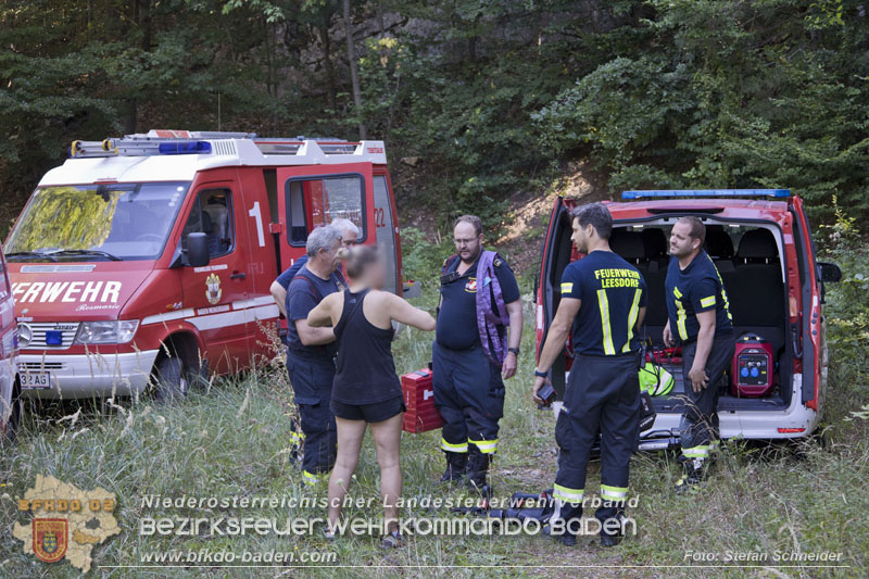 20240907_Spotty nach über 50 Stunden durch Feuerwehr aus Felshöhle in Baden gerettet Foto: Stefan Schneider BFKDO BADEN