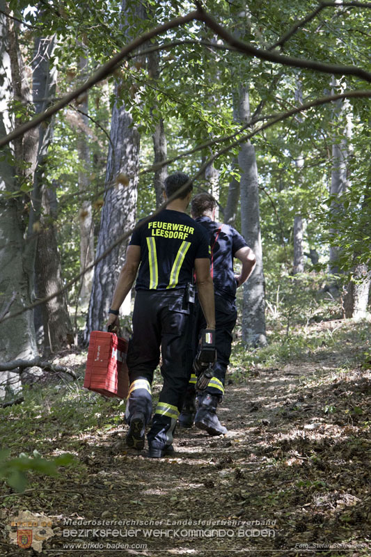 20240907_Spotty nach über 50 Stunden durch Feuerwehr aus Felshöhle in Baden gerettet Foto: Stefan Schneider BFKDO BADEN