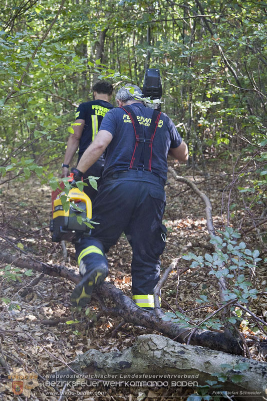 20240907_Spotty nach über 50 Stunden durch Feuerwehr aus Felshöhle in Baden gerettet Foto: Stefan Schneider BFKDO BADEN