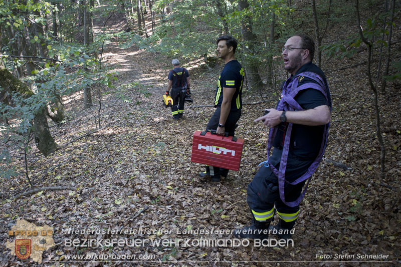 20240907_Spotty nach über 50 Stunden durch Feuerwehr aus Felshöhle in Baden gerettet Foto: Stefan Schneider BFKDO BADEN