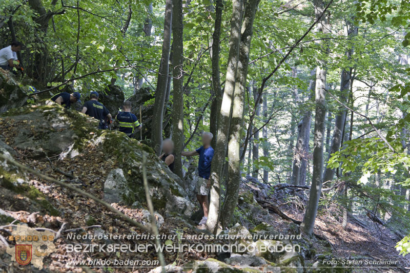 20240907_Spotty nach über 50 Stunden durch Feuerwehr aus Felshöhle in Baden gerettet Foto: Stefan Schneider BFKDO BADEN