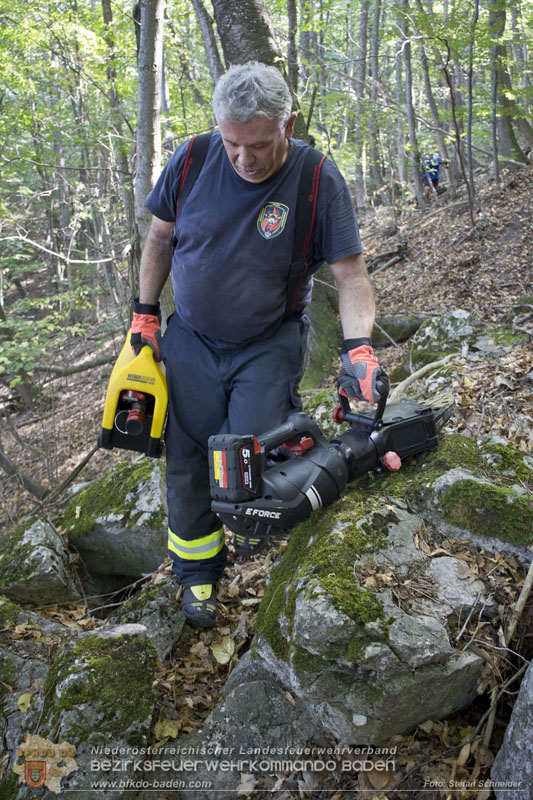 20240907_Spotty nach über 50 Stunden durch Feuerwehr aus Felshöhle in Baden gerettet Foto: Stefan Schneider BFKDO BADEN