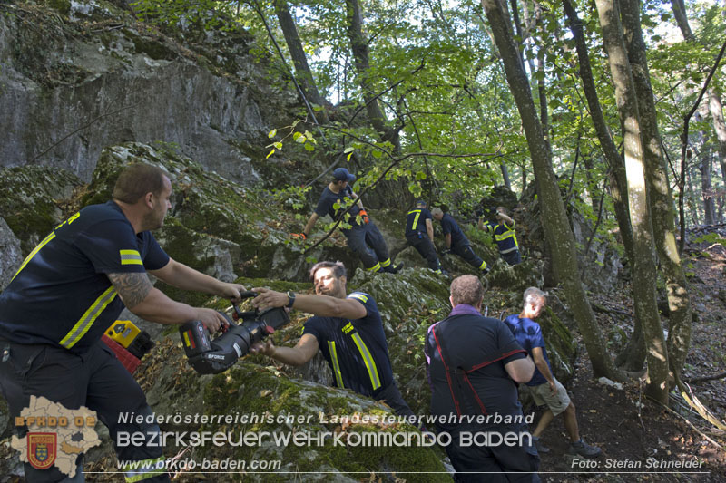 20240907_Spotty nach über 50 Stunden durch Feuerwehr aus Felshöhle in Baden gerettet Foto: Stefan Schneider BFKDO BADEN