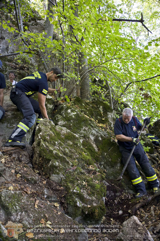 20240907_Spotty nach über 50 Stunden durch Feuerwehr aus Felshöhle in Baden gerettet Foto: Stefan Schneider BFKDO BADEN