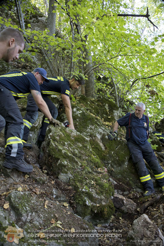 20240907_Spotty nach über 50 Stunden durch Feuerwehr aus Felshöhle in Baden gerettet Foto: Stefan Schneider BFKDO BADEN