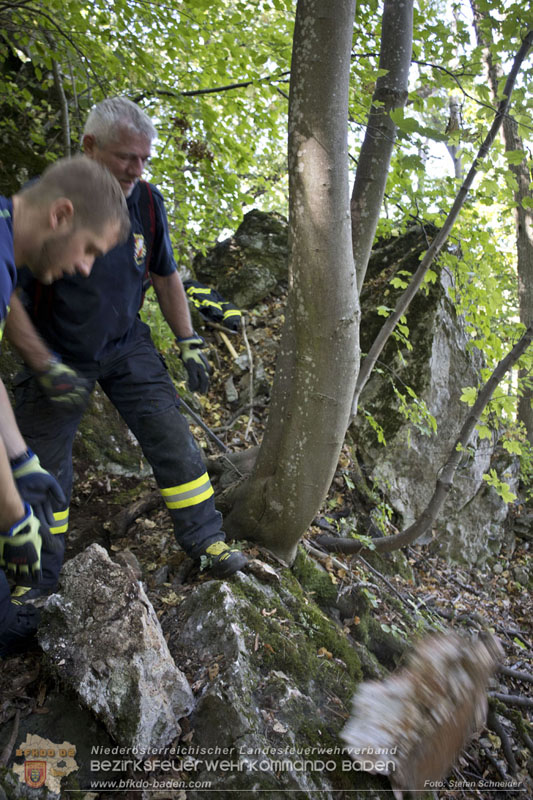 20240907_Spotty nach über 50 Stunden durch Feuerwehr aus Felshöhle in Baden gerettet Foto: Stefan Schneider BFKDO BADEN