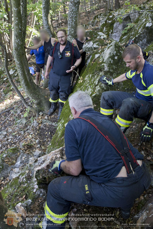 20240907_Spotty nach über 50 Stunden durch Feuerwehr aus Felshöhle in Baden gerettet Foto: Stefan Schneider BFKDO BADEN