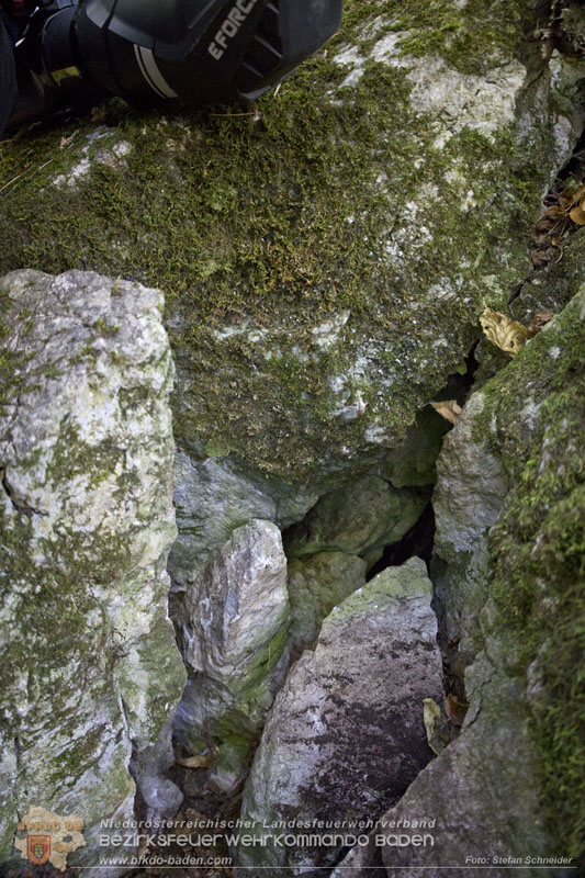 20240907_Spotty nach über 50 Stunden durch Feuerwehr aus Felshöhle in Baden gerettet Foto: Stefan Schneider BFKDO BADEN