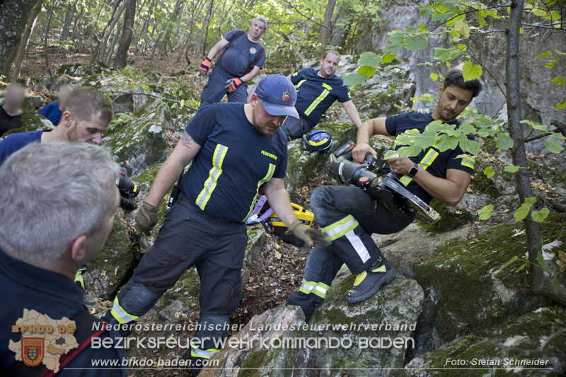 20240907_Spotty nach über 50 Stunden durch Feuerwehr aus Felshöhle in Baden gerettet Foto: Stefan Schneider BFKDO BADEN