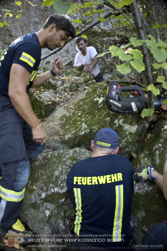 20240907_Spotty nach über 50 Stunden durch Feuerwehr aus Felshöhle in Baden gerettet Foto: Stefan Schneider BFKDO BADEN