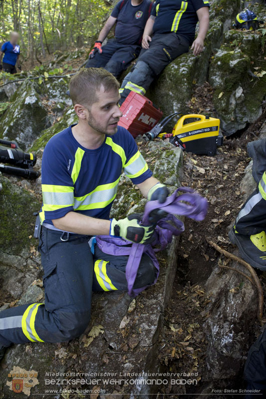 20240907_Spotty nach über 50 Stunden durch Feuerwehr aus Felshöhle in Baden gerettet Foto: Stefan Schneider BFKDO BADEN
