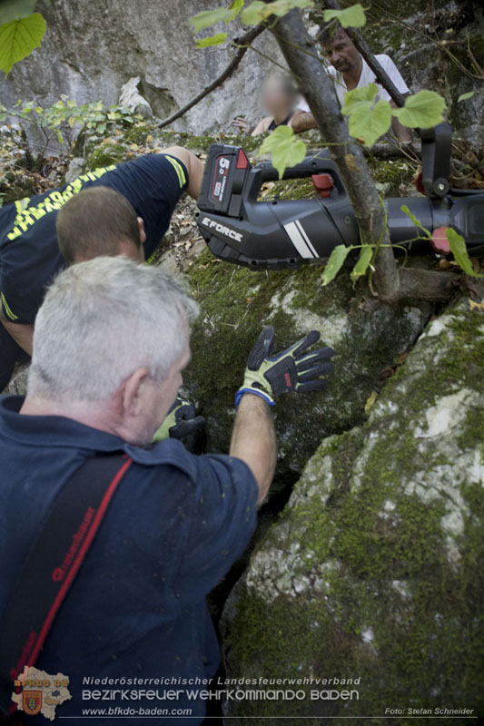 20240907_Spotty nach über 50 Stunden durch Feuerwehr aus Felshöhle in Baden gerettet Foto: Stefan Schneider BFKDO BADEN
