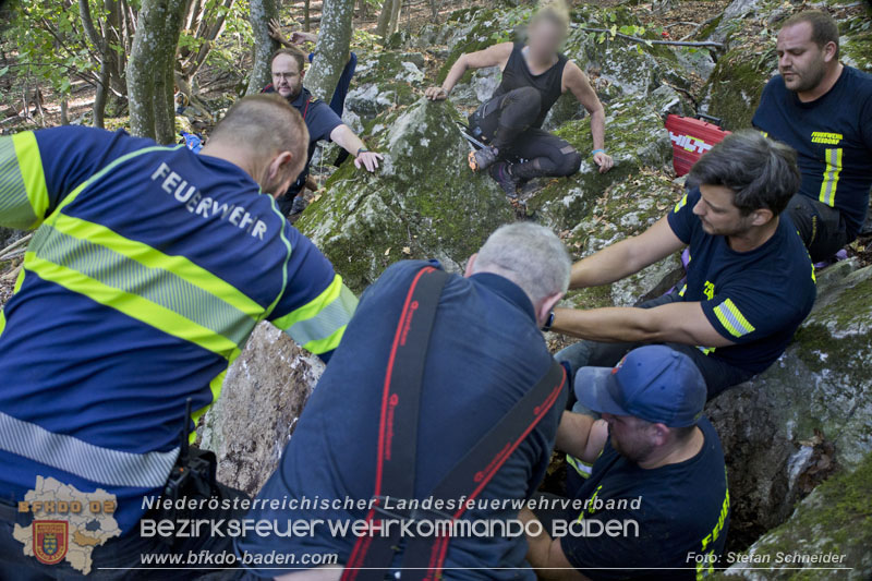 20240907_Spotty nach über 50 Stunden durch Feuerwehr aus Felshöhle in Baden gerettet Foto: Stefan Schneider BFKDO BADEN