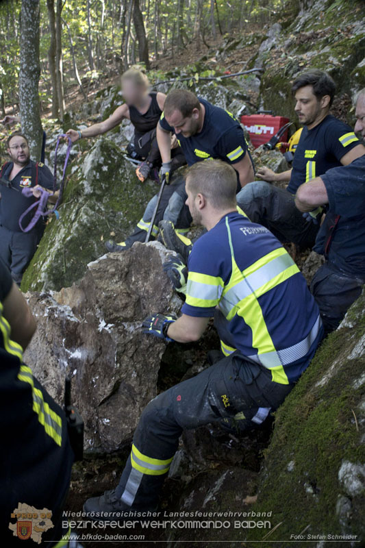 20240907_Spotty nach über 50 Stunden durch Feuerwehr aus Felshöhle in Baden gerettet Foto: Stefan Schneider BFKDO BADEN