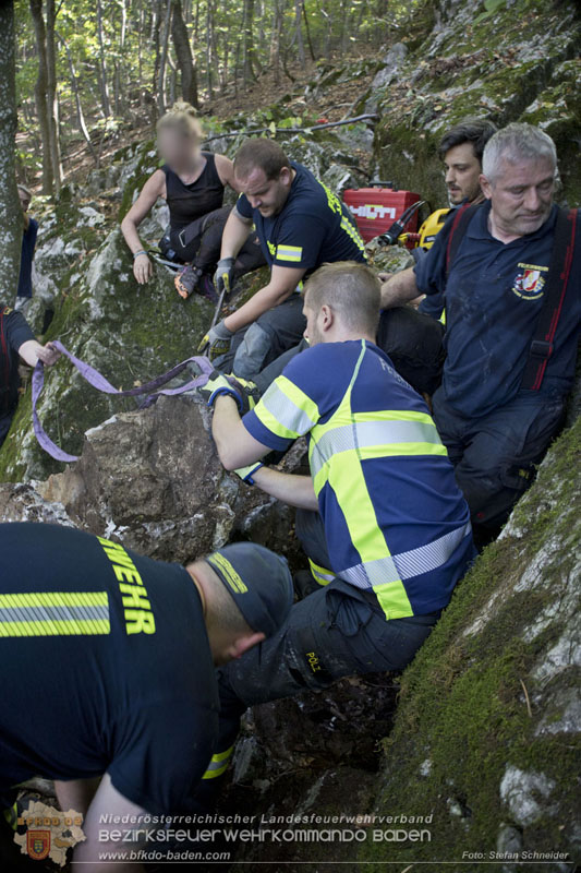 20240907_Spotty nach über 50 Stunden durch Feuerwehr aus Felshöhle in Baden gerettet Foto: Stefan Schneider BFKDO BADEN
