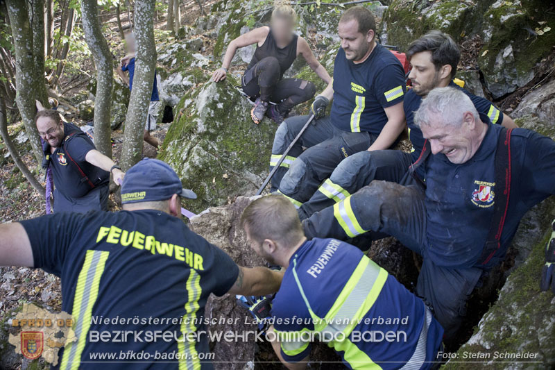 20240907_Spotty nach über 50 Stunden durch Feuerwehr aus Felshöhle in Baden gerettet Foto: Stefan Schneider BFKDO BADEN