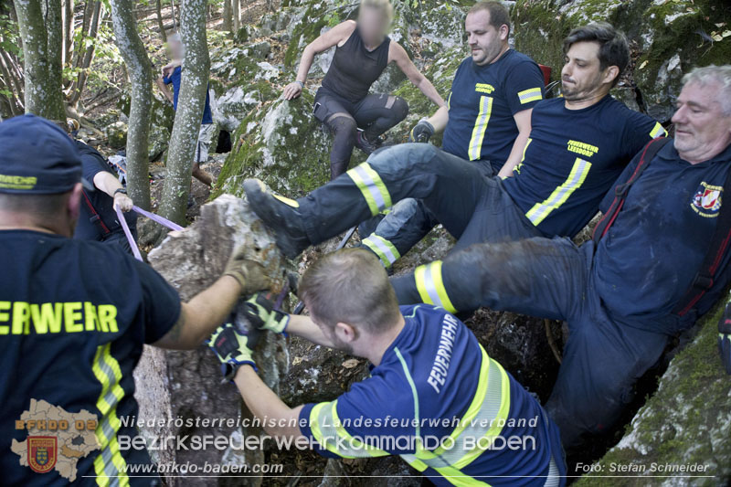 20240907_Spotty nach über 50 Stunden durch Feuerwehr aus Felshöhle in Baden gerettet Foto: Stefan Schneider BFKDO BADEN