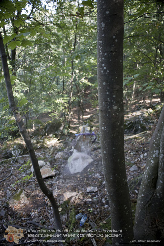 20240907_Spotty nach über 50 Stunden durch Feuerwehr aus Felshöhle in Baden gerettet Foto: Stefan Schneider BFKDO BADEN