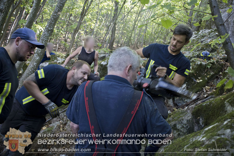 20240907_Spotty nach über 50 Stunden durch Feuerwehr aus Felshöhle in Baden gerettet Foto: Stefan Schneider BFKDO BADEN