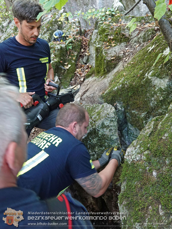 20240907_Spotty nach über 50 Stunden durch Feuerwehr aus Felshöhle in Baden gerettet Foto: Stefan Schneider BFKDO BADEN