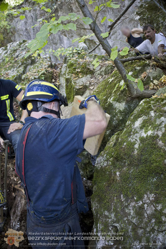 20240907_Spotty nach über 50 Stunden durch Feuerwehr aus Felshöhle in Baden gerettet Foto: Stefan Schneider BFKDO BADEN