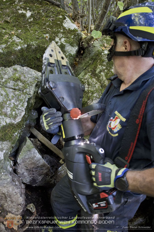 20240907_Spotty nach über 50 Stunden durch Feuerwehr aus Felshöhle in Baden gerettet Foto: Stefan Schneider BFKDO BADEN