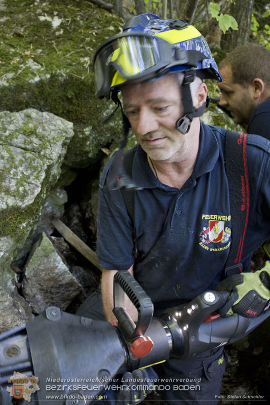 20240907_Spotty nach über 50 Stunden durch Feuerwehr aus Felshöhle in Baden gerettet Foto: Stefan Schneider BFKDO BADEN