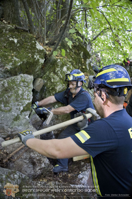 20240907_Spotty nach über 50 Stunden durch Feuerwehr aus Felshöhle in Baden gerettet Foto: Stefan Schneider BFKDO BADEN