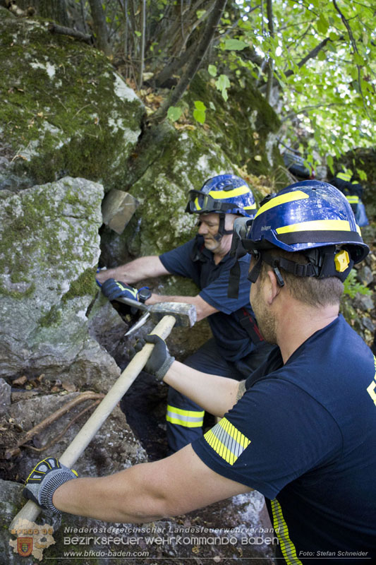20240907_Spotty nach über 50 Stunden durch Feuerwehr aus Felshöhle in Baden gerettet Foto: Stefan Schneider BFKDO BADEN