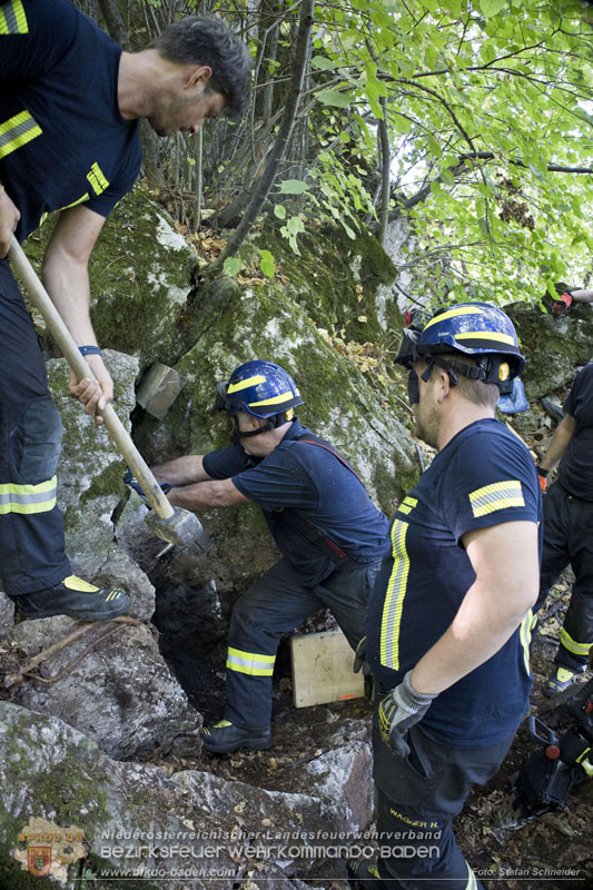 20240907_Spotty nach über 50 Stunden durch Feuerwehr aus Felshöhle in Baden gerettet Foto: Stefan Schneider BFKDO BADEN