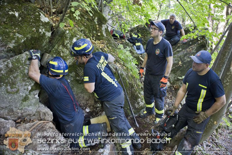 20240907_Spotty nach über 50 Stunden durch Feuerwehr aus Felshöhle in Baden gerettet Foto: Stefan Schneider BFKDO BADEN