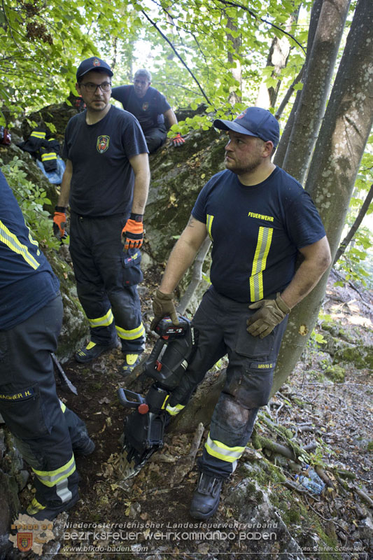 20240907_Spotty nach über 50 Stunden durch Feuerwehr aus Felshöhle in Baden gerettet Foto: Stefan Schneider BFKDO BADEN
