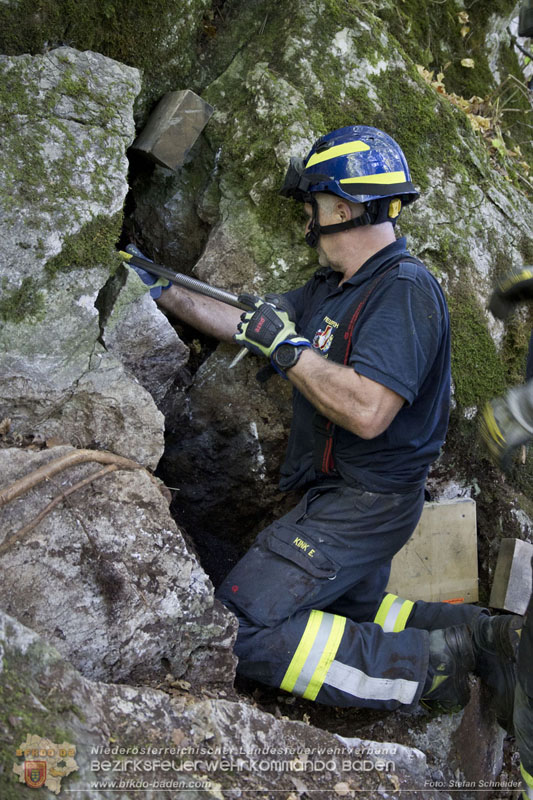 20240907_Spotty nach über 50 Stunden durch Feuerwehr aus Felshöhle in Baden gerettet Foto: Stefan Schneider BFKDO BADEN