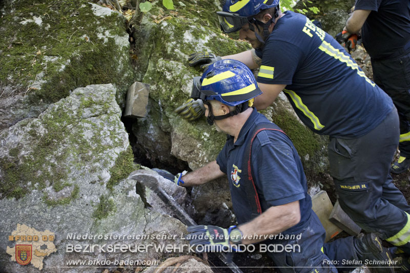 20240907_Spotty nach über 50 Stunden durch Feuerwehr aus Felshöhle in Baden gerettet Foto: Stefan Schneider BFKDO BADEN