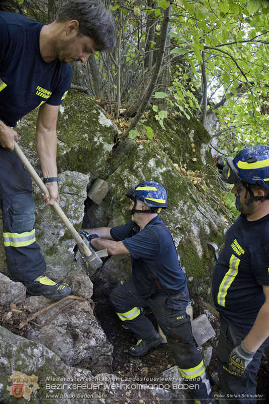 20240907_Spotty nach über 50 Stunden durch Feuerwehr aus Felshöhle in Baden gerettet Foto: Stefan Schneider BFKDO BADEN