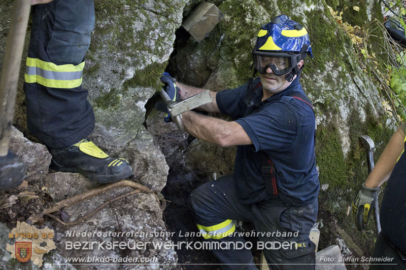 20240907_Spotty nach über 50 Stunden durch Feuerwehr aus Felshöhle in Baden gerettet Foto: Stefan Schneider BFKDO BADEN